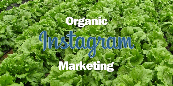 How to Use Instagram for DIY Organic Marketing